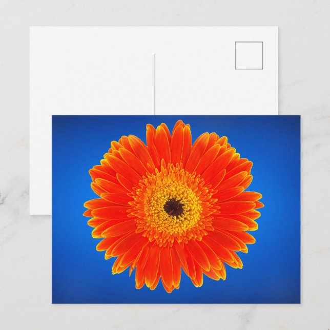 Postal Flor amarilla (Anverso / Reverso)