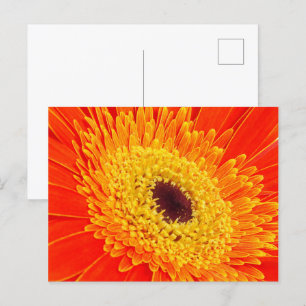 Postal Flor amarilla