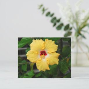 Postal Flor amarilla de Hibiscus