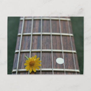 Postal Flor amarilla en el cuello de guitarra que baja