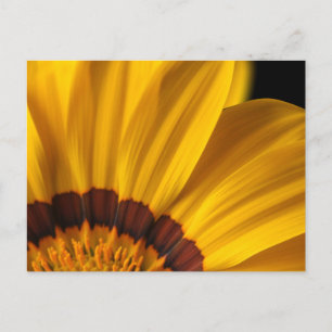 Postal Flor amarilla sobre fondo negro