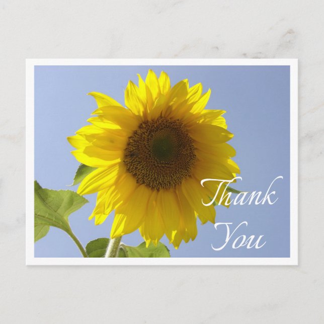 Postal Flor amarillo girasol floral gracias flor (Anverso)