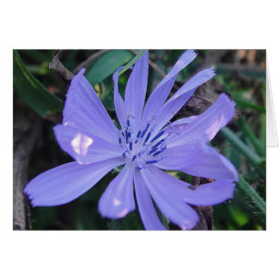 Postal flor apuesta azul de caza, en blanco