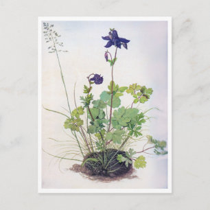 Postal Flor Aquilegia vulgaris, Albrecht Durer