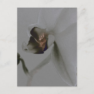 Postal Flor artificial en tonos grises