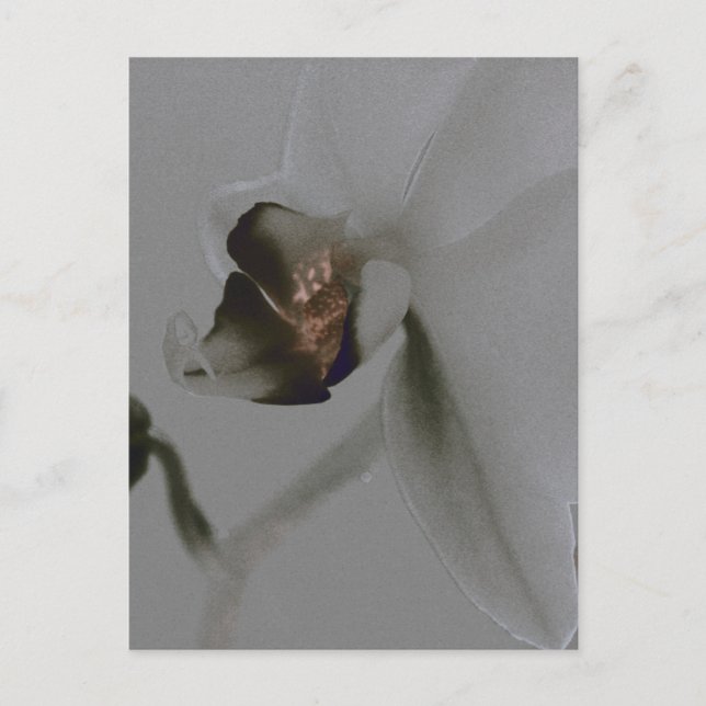 Postal Flor artificial en tonos grises (Anverso)