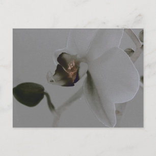 Postal Flor artificial en tonos grises