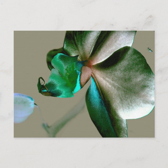 Postal Flor artística en tonos azules, verdes y grises (Anverso)