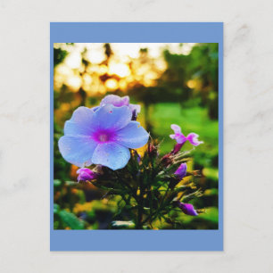 Postal Flor azul