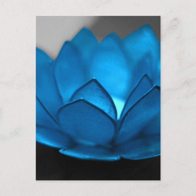 Postal Flor azul Lotus (Anverso)