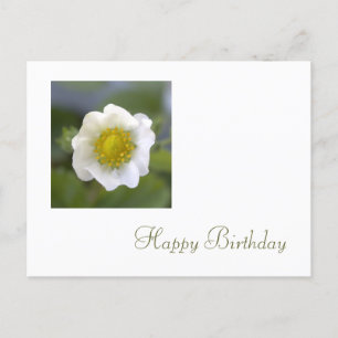 Postal flor blanca de fresa feliz cumpleaños