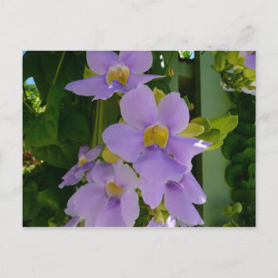 Postal Flor cielo Vino Tropical Morado Floral