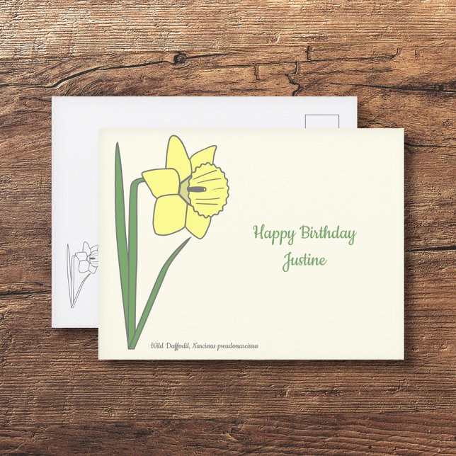Postal Flor Daffodil Pastel Botánico (Botanical Daffodil Postcard)