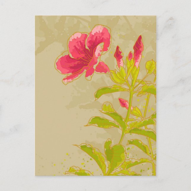 Postal Flor De Allamanda En Fondo Tedonado (Anverso)