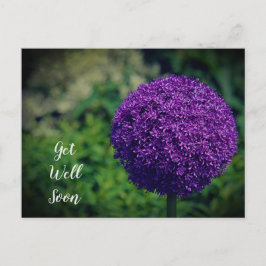Postal Flor de Allium Morado Perfecto Recupérate Pronto
