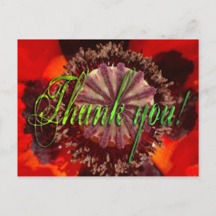 Postal Flor de amapola - Gracias