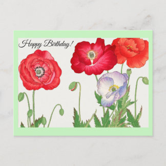 Postal Flor de amapola vintage