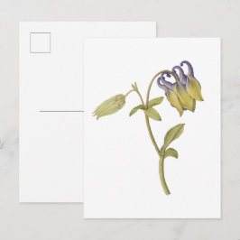 Postal Flor de aquilegia común dibujada a mano