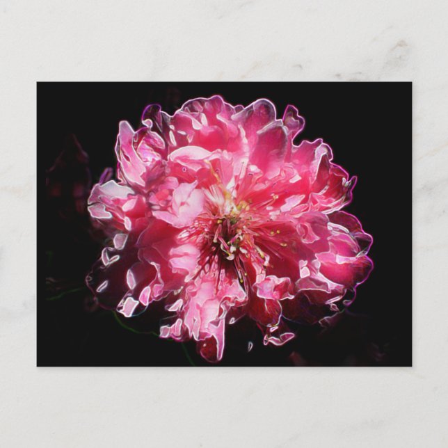 Postal Flor de aroma de cigalas (Anverso)