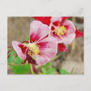 Postal Flor de bonito 2