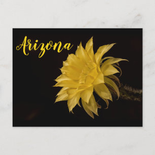 Postal Flor de cactus amarillo en flor, Arizona