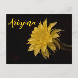 Postal Flor de cactus amarillo en flor, Arizona