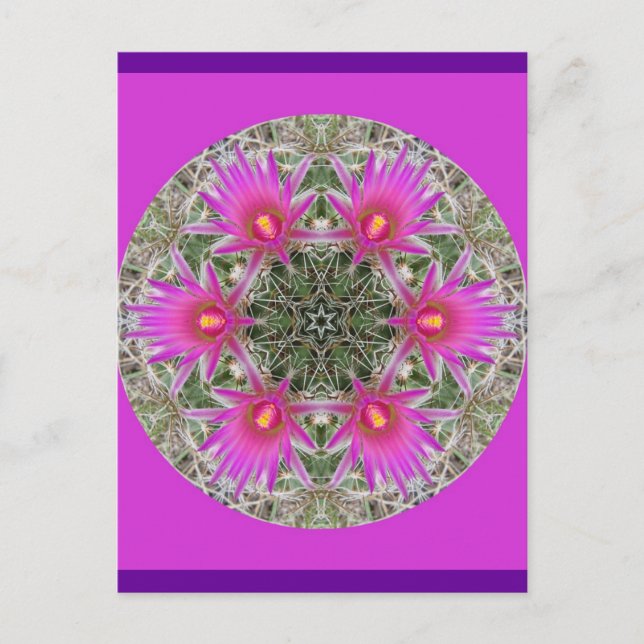 Postal Flor de cactus rosada (Anverso)