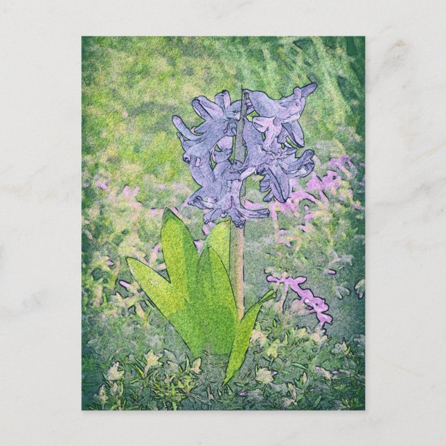Postal Flor de campanilla azul, naturaleza de primavera / (Anverso)