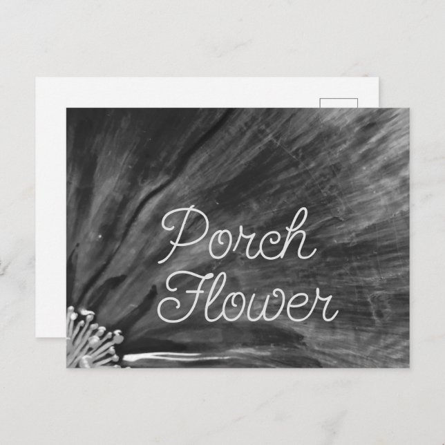 Postal Flor de cerdo / negro y blanco / (Anverso / Reverso)