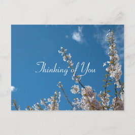 Postal flor de cerezo en cielo azul pensando en ti