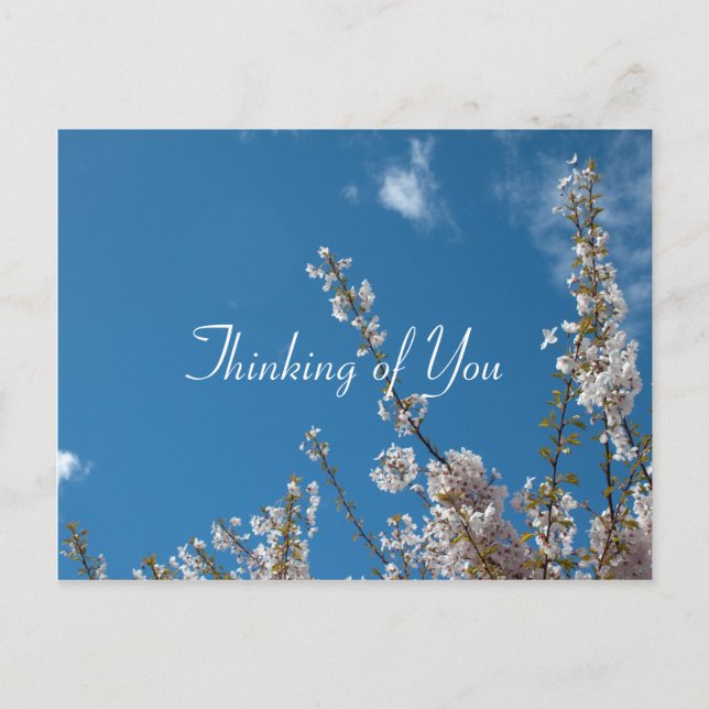 Postal flor de cerezo en cielo azul pensando en ti (Anverso)