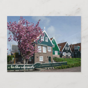 Postal Flor de cerezo en Marken, Países Bajos