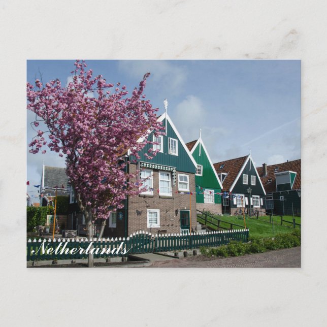 Postal Flor de cerezo en Marken, Países Bajos (Anverso)