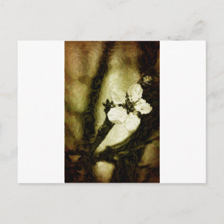 Postal Flor de cerezo sepia