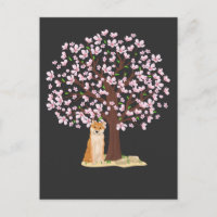 Flor de cerezo Shiba Inu Perro japonés árbol sakur