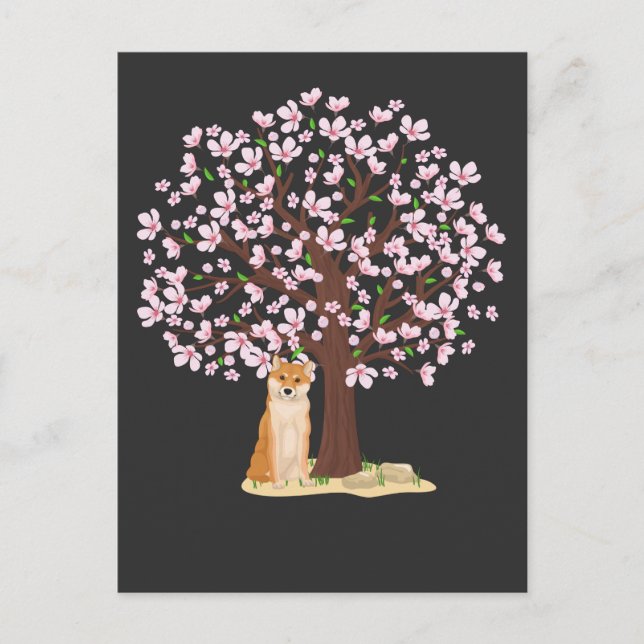 Postal Flor de cerezo Shiba Inu Perro japonés árbol sakur (Anverso)