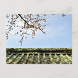 Postal Flor de cerezo: Templo Zojoji, Tokio, Japón Postca