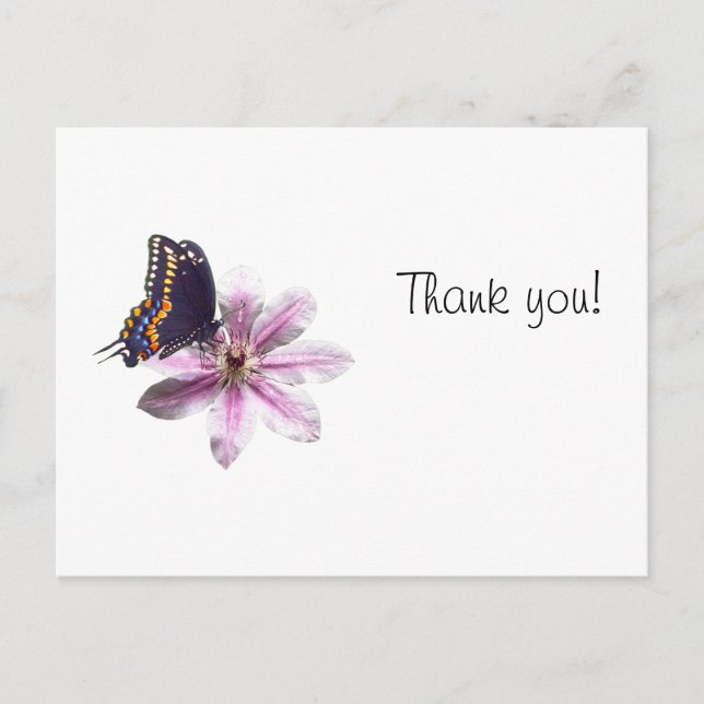 Postal Flor de clematis y mariposa de cerda negra (Anverso)