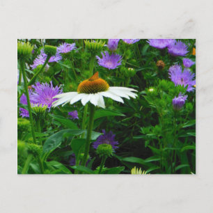 Postal Flor de cono blanco, flores moradas y polilla