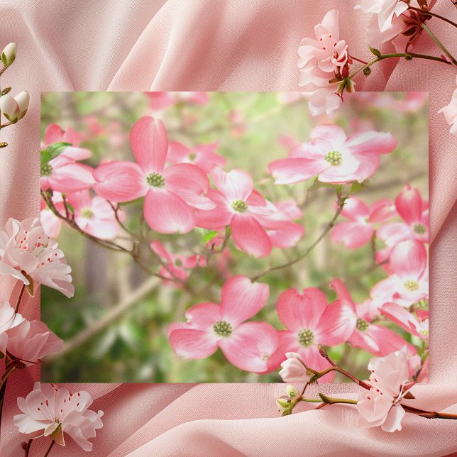 Postal Flor de Cornejo Rosa (Subido por el creador)