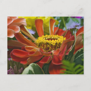 Postal flor de crisantemo