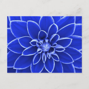 Postal Flor de dahlia azul