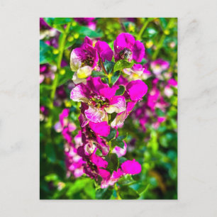 Postal Flor de Espiga Rosa Brillante con Rocío