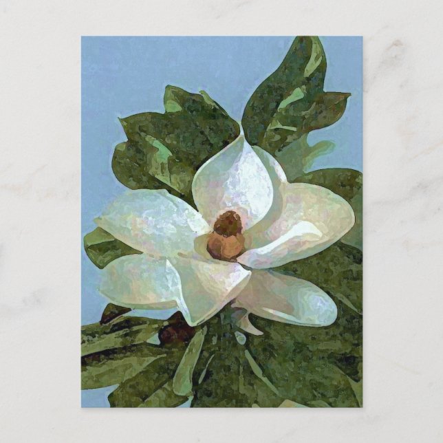 Postal Flor de flores de Magnolia Blossom (Anverso)
