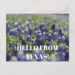 Postal Flor de flores silvestres en Texas Bluebonnets Flo