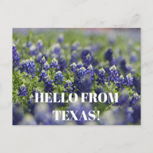Postal Flor de flores silvestres en Texas Bluebonnets Flo