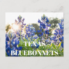 Postal Flor de flores silvestres en Texas Bluebonnets Flo