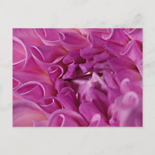 Postal Flor de foto macro
