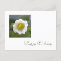 flor de fresa blanca feliz cumpleaños