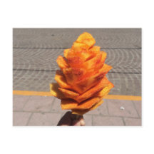 Flor de fruta